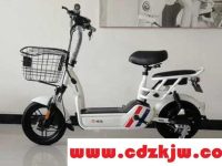 电瓶车哪种电池最好最经久耐用?电瓶车锂电池什么牌子质量好一点