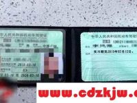 d照能开什么车型?d照能开什么车型