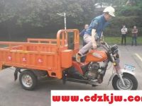 电动三轮车要考驾照吗?电动三轮车用什么驾驶证