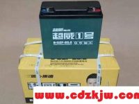 两轮电动车电瓶什么牌子最好耐用