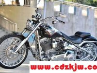 harley-davidson是什么牌子？harley-davidson摩托车