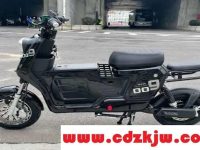 009电动车是什么牌子？009电动车多少钱一台