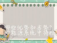 储能电站与传统电站相比有哪些优势和劣势？它们在未来的能源系统中将扮演什么角色？