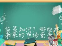 储能行业的政策环境和市场前景如何？哪些技术和公司在未来的市场竞争中更具优势？