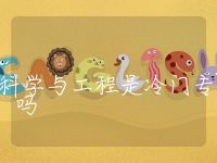 储能科学与工程是冷门专业吗