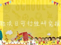 储能项目可行性研究报告