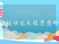储能板块龙头股票有哪些