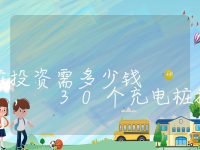 30个充电桩投资需多少钱, 30个充电桩投资成本