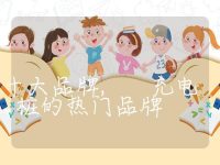 充电桩的十大品牌, 充电桩的热门品牌