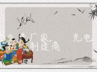 充电桩的生产厂家, 充电桩的制造商