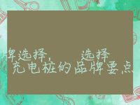 充电桩的品牌选择, 选择充电桩的品牌要点