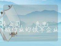 充电桩龙头股公司, 充电桩行业的领军企业