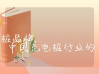 中国的十大充电桩品牌, 中国充电桩行业的十大品牌