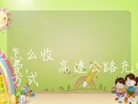 高速公路充电桩充电怎么收费, 高速公路充电桩的收费方式