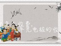 汽车充电桩充电怎么收费, 汽车充电桩的收费方式