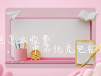 中石化充电桩充电怎么收费, 中石化充电桩的收费方式