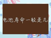 储能电池寿命一般是几年的