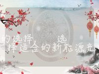 新能源充电桩的选择, 选择适合的新能源充电桩